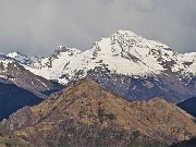 MONTE ZUCCO (1232 m) ad anello da casa-Zogno (300 m) con festa di fiori (17mar21)  - FOTOGALLERY